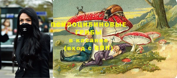 спиды Балахна