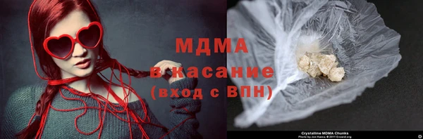 прущие грибы Балабаново