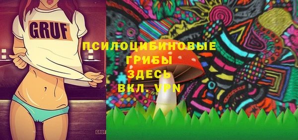прущие грибы Балабаново