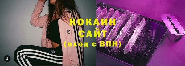 прущие грибы Балабаново