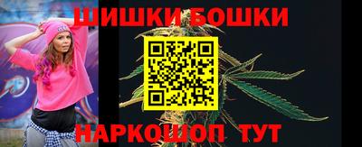 шишки Будённовск