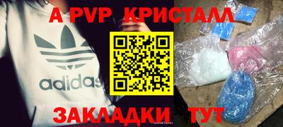 крисы Кингисепп