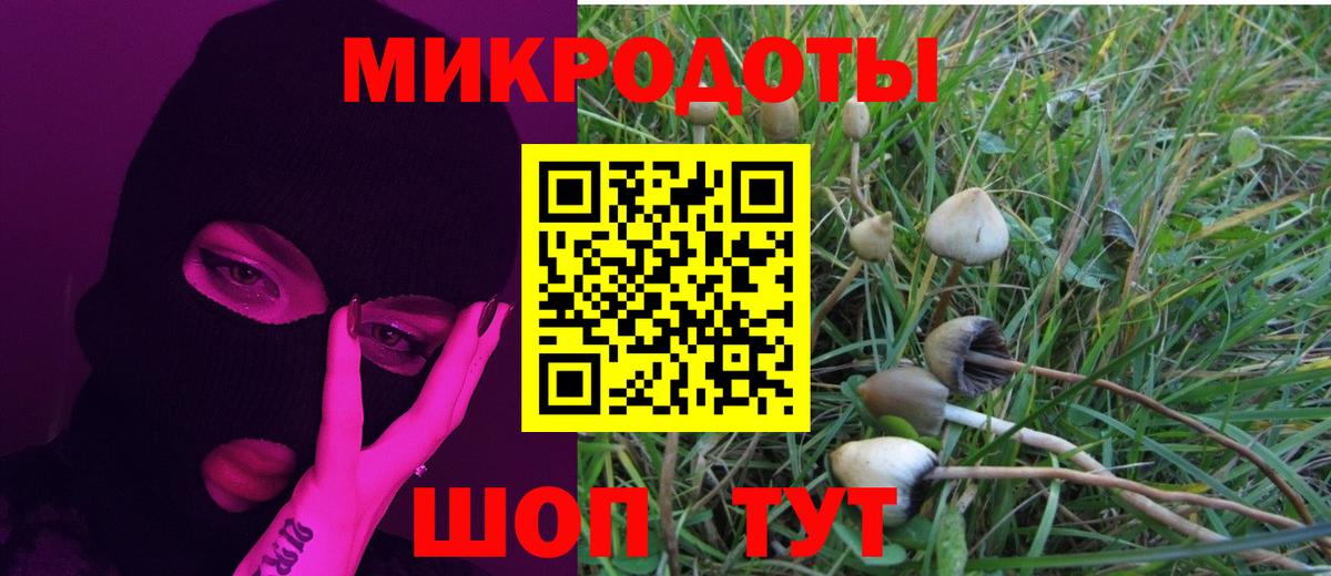 Галлюциногенные грибы Psilocybine cubensis Дербент